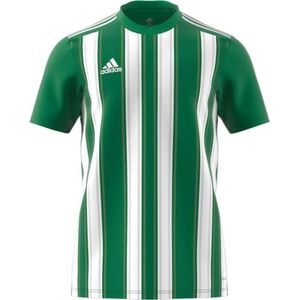 Adidas Striped 21 Shirt Korte Mouw Heren - Groen / Wit | Maat: M