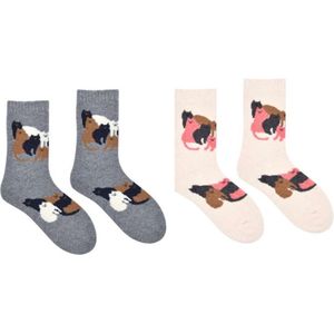 Dames Wol Sokken 2 paar - Huissokken - Wandelsokken - grijs - roze - leuke print kat - katten - 36 - 40 - cadeau voor haar - giftbox