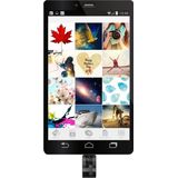 Silicon Power Mobile C31 USB Stick 64GB - Zwart/Zilver