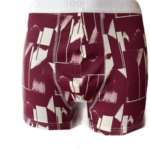Embrator mannen Boxershorts 2-stuks overall print maat XXL