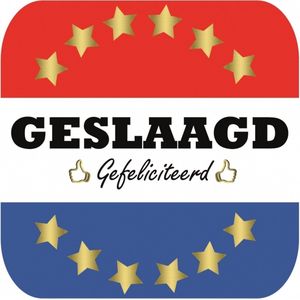 Bierviltjes geslaagd feestje 15 st - onderzetters