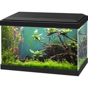 Ciano aquarium aqua 20 classic - 40x20x24,8cm - Zwart - 19L