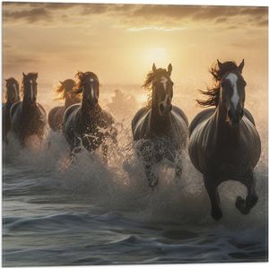 Vlag - Vooraanzicht van Kudde Galopperende Paarden in de Zee - 50x50 cm Foto op Polyester Vlag