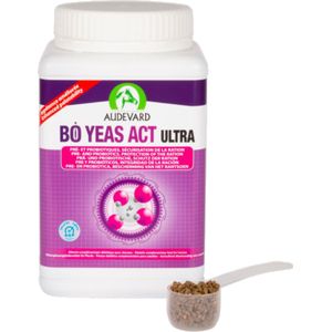 Audevard Bo Yeas Act Ultra