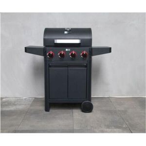 Passion Grills - BBQ West Virginia 4-Brander - Mat Zwart