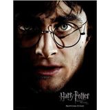 HARRY POTTER - GLASS PRINT - Harry Face - 30X40 Cm