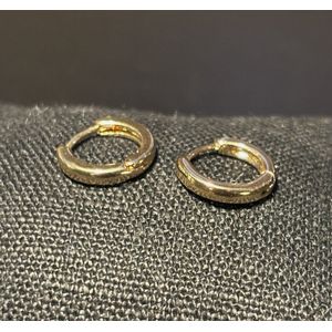 No-Fade Goud-Stijl Vergulde Kleine Cirkel Oorbellen Sieraden Voor Dames En Heren