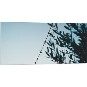 WallClassics - Vlag - Lampslinger bij Groene Takken - 100x50 cm Foto op Polyester Vlag
