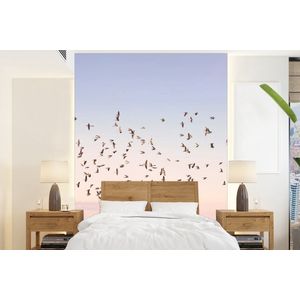 Vogels - Zee - Lucht - Natuur - Zomer - Behangpapier