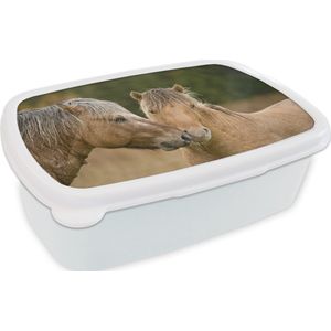 Broodtrommel Wit - Lunchbox - Brooddoos - Close-up van knuffelende fjord paarden - 18x12x6 cm - Volwassenen