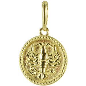 New Bling 9NBG-0283 Gouden Sterrenbeeld - Kreeft - 10 mm Doorsnee - 14 Karaat - Goud