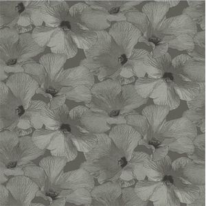 Annuell Hibiscus bruin 11004