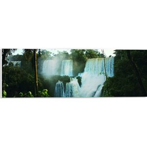 PVC Schuimplaat- Grote Waterval in Oerwoud - 60x20 cm Foto op PVC Schuimplaat