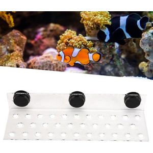 Magnetisch acryl aquarium frag rek - transparante basis - koraalhouder - 32 gaten .