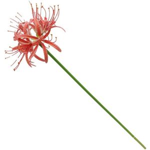 HomeBound by KY | Kunstbloem real touch amaryllis koraal | kunstbloem