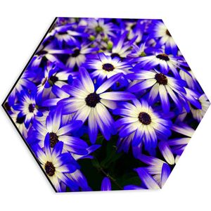 Dibond Hexagon - Struik gevuld met Blauw met Witte Bloemen - 30x26.1 cm Foto op Hexagon (Met Ophangsysteem)