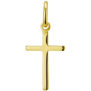 Geelgouden Hanger kruis 4005209