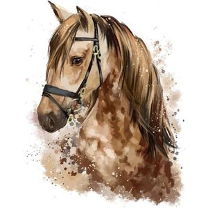 Paint By Numbers Paard - Schilderen op Nummer - 50x40cm - Volwassenen - Stipco
