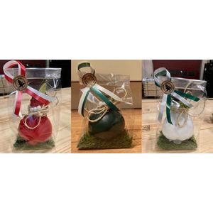 Wax amaryllis trio rood - groen - wit - gewaxte amaryllis in geschenkverpakking - relatiegeschenk