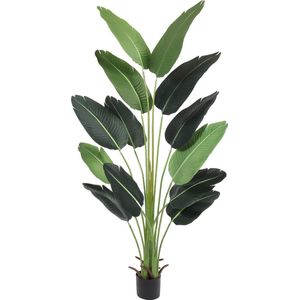 Kunst bananen plant Caracas | Kunst bananenplant - Kunst strelitzia - Groot blad namaak plant - Kunstplant voor binnen - Groen