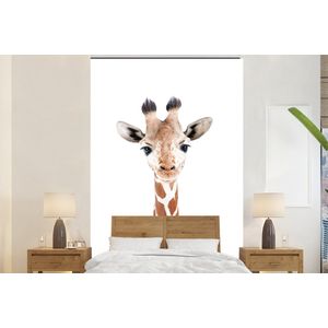 Giraffe - Dieren - Natuur - Portret - Behangpapier