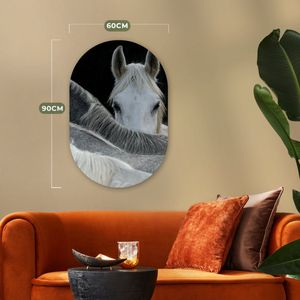 Paarden - Dieren - Zwart - Wit Kunststof plaat (5mm dik) - Ovale spiegel vorm op kunststof