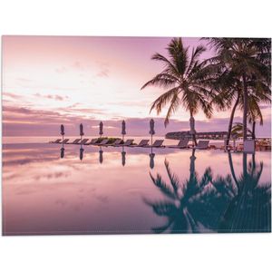 Vlag - Luxe Resort met Strandbedjes met Palmbomen - 40x30 cm Foto op Polyester Vlag