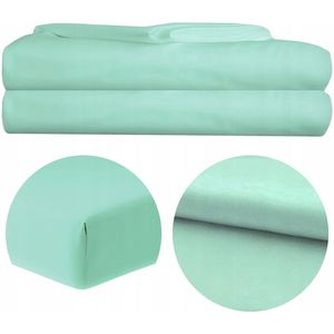 Traditioneel Lakens 160x200cm Mintgroen - 100% Microvezel