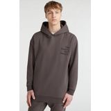 O'neill Truien FUTURE SURF SOCIETY HOODIE