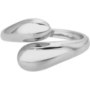 Ring - verstelbaar - Zilver kleur - RVS - stainless steel - maat 17 tot en met 20 - maat 52 tot en met 60 - verkleurt niet