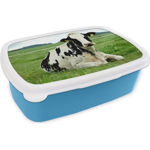 Broodtrommel Blauw - Lunchbox - Brooddoos - Koe - Gras - Dieren - Berg - 18x12x6 cm - Kinderen - Jongen