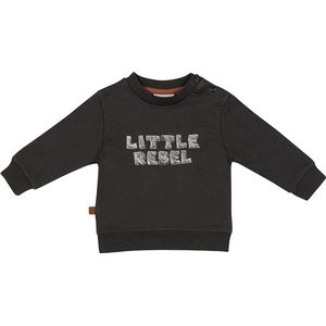 Frogs and Dogs - Dino Park Sweater Little Rebel - - Maat 68 -