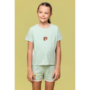 Woody pyjama meisjes - leeuw - streep - 241-10-PZG-Z/912 - maat 80