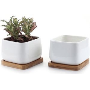 Succulente Plantenpot Set - Keramiek Cactuspot - 2 stuks - Wit - Keramiek - 9,5 cm