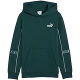 Puma Ess Tape Layout Hoodie