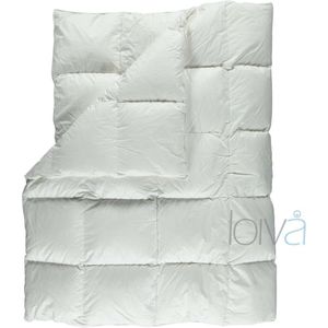 Loiva Premium - Ganzendons Winterdekbed 240 x 200 cm - Lits-jumeaux