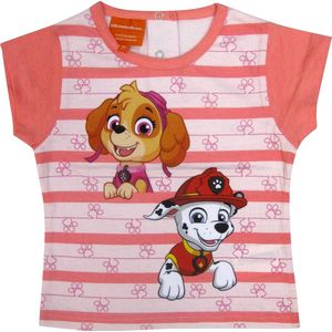 Nickelodeon T-shirt Paw Patrol Meisjes Katoen Oranje Mt 80