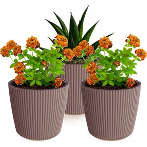 Prosperplast Plantenpot/bloempot Buckingham - 3x - buiten/binnen - terra - D17 x H15 cm