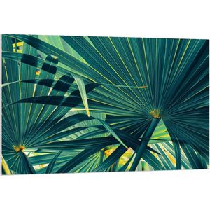 Forex - Close Up van Blauw/Groene Bladeren - 120x80cm Foto op Forex