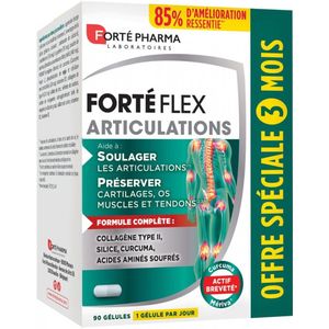 Forté Pharma Forte Flex Articulations 90 Capsules