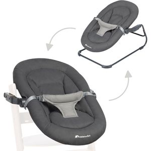 2-in-1 Baby Wipstoel voor Baby's van 0-6 Maanden - Ultra Gevoerd en Veilig met Aanpasbare Ligstanden