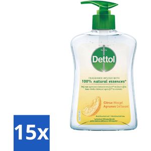 15 x Dettol - Handzeep - Antibacterieel - 100% Natuurlijke Oliën - Citrus - 250 ml - Schoonmaak - Hygiëne - Dettol