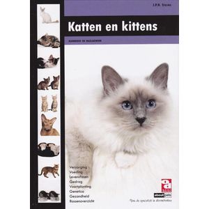 Over Dieren - Katten en kittens