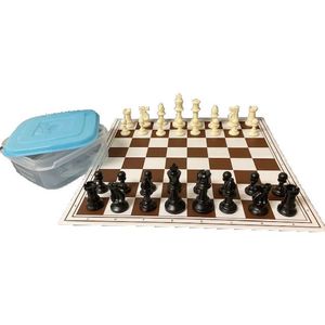 Schoolschaakset klein - Schaakbord + schaakstukken - Plastic - Opvouwbaar schaakbord