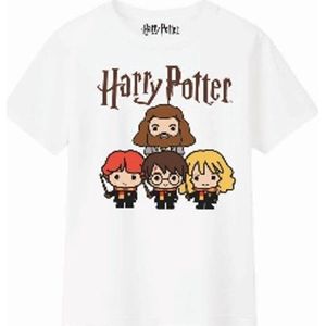 Harry Potter - Harry and Friends - T-Shirt - Meisjes - 8 Jaar