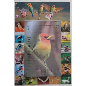 LIBOZA - Week-wandkalender 2024 - Vogels - rondom allemaal verschillende vogelfoto's - Met Eco Pen - Veel schrijfruimte - Ophangbaar - Stevige kartonnen achterkant - Cadeau - Verjaardag - Sinterklaas – Kerstmis