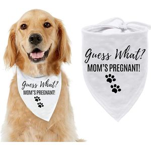 Zwangerschaps aankondiging bandana Guess What? Mom's Pregnant - hond - zwanger - baby - babyshower - huisdier - genderreveal