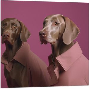 Vlag - Twee Bruine Duitse Dog Honden in Roze Overhemden tegen Roze Achtergrond - 80x80 cm Foto op Polyester Vlag