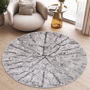 Tapiso Sky Rond Vloerkleed Hoogpolig Grijs Shaggy Woonkamer Tapijt Maat- 100x100