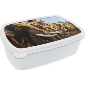 Broodtrommel Wit - Lunchbox - Brooddoos - Olifantenparade - 18x12x6 cm - Volwassenen